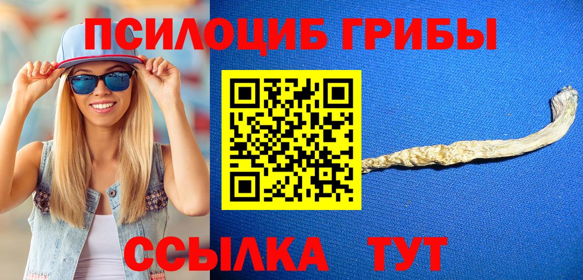 Обнинск  Галлюциногенные грибы Psilocybine cubensis  Галлюциногенные грибы прущие грибы  цены   Вход с VPN 